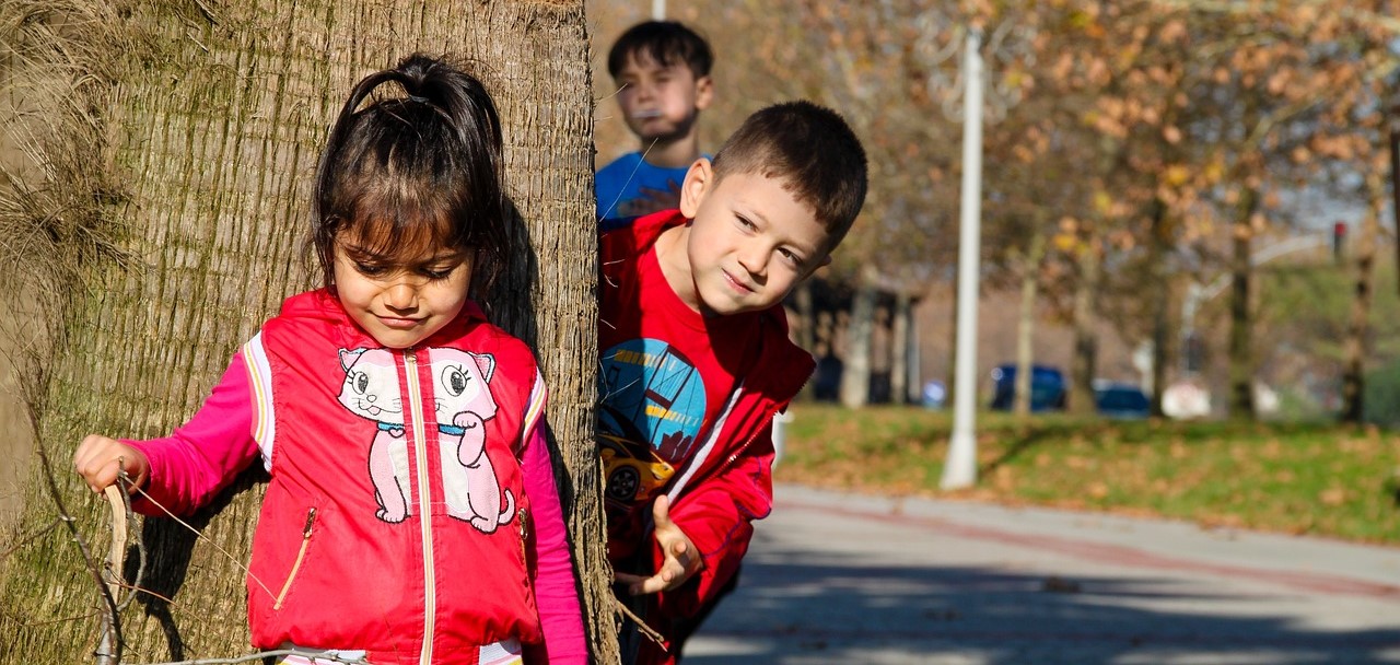 Descripción de la imagen